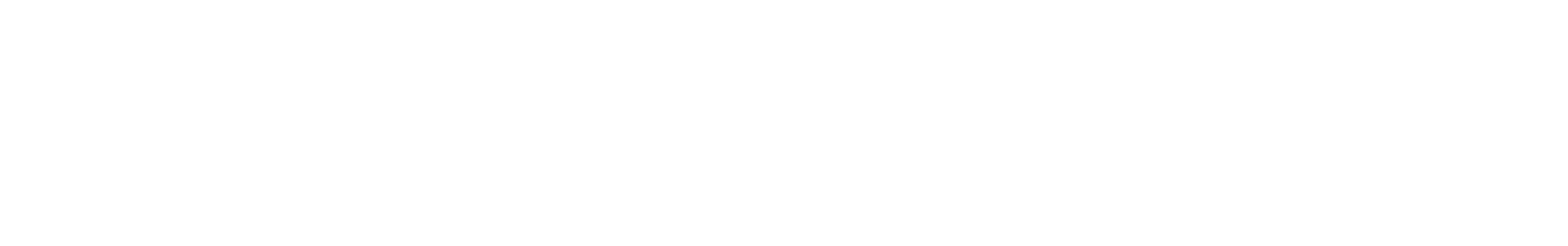 Guidewire-Logo_white